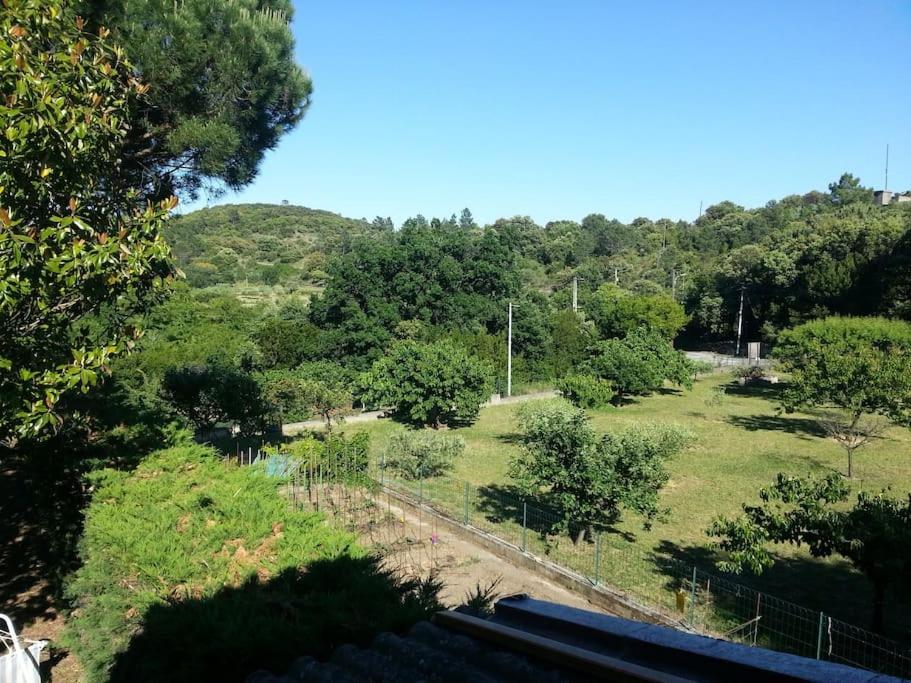 Appartement Au Fond Du Jardin Saint Jean du Pin Eksteriør billede