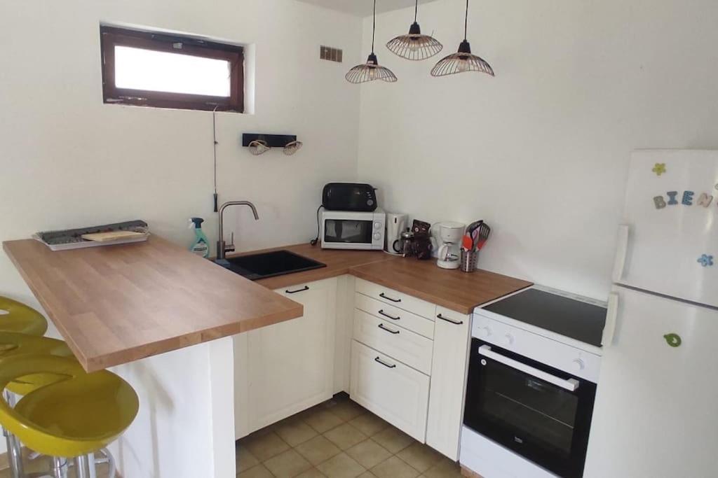 Appartement Au Fond Du Jardin Saint Jean du Pin Eksteriør billede